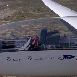 Fliegen